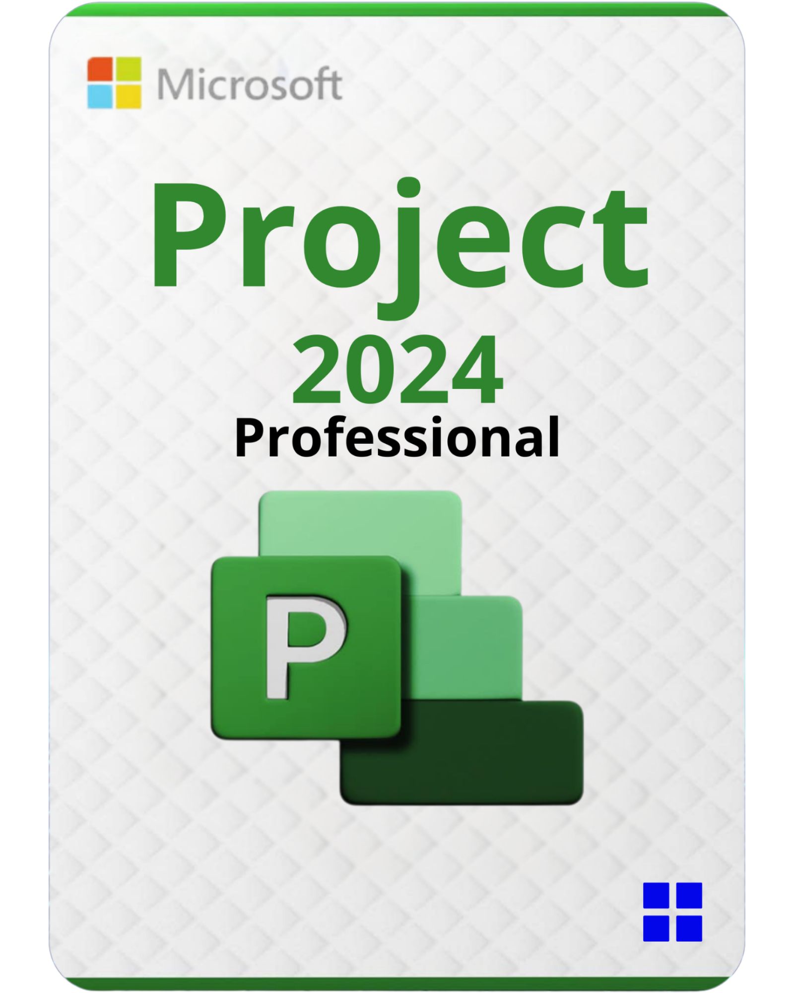 project2024 project2024